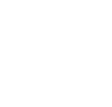 Team17 wht